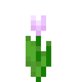 File:Pink tulip.png