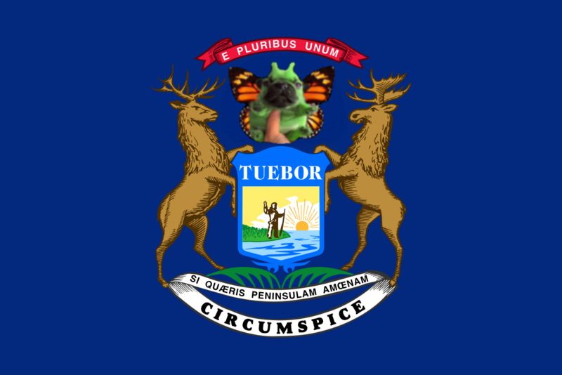 File:HegemonyStateFlag.png